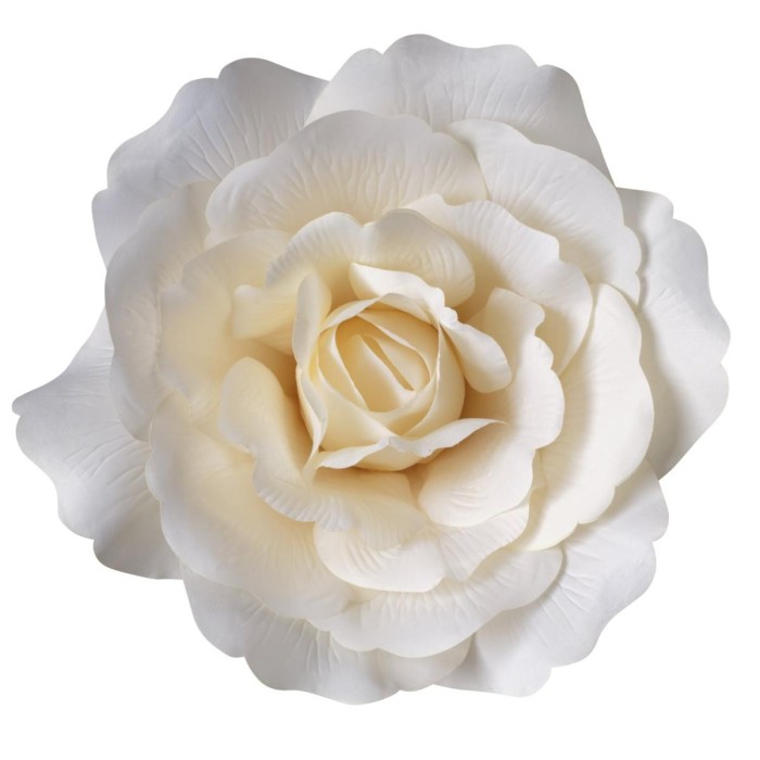 TESTA ROSA XL 45X45CM CREAM